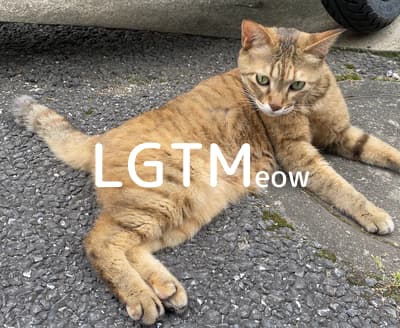 lgtm-cat-image