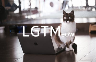 lgtm-cat-image