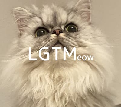 lgtm-cat-image