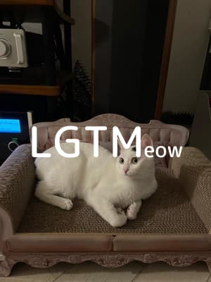 lgtm-cat-image