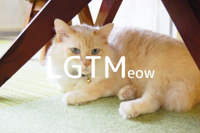 lgtm-cat-image